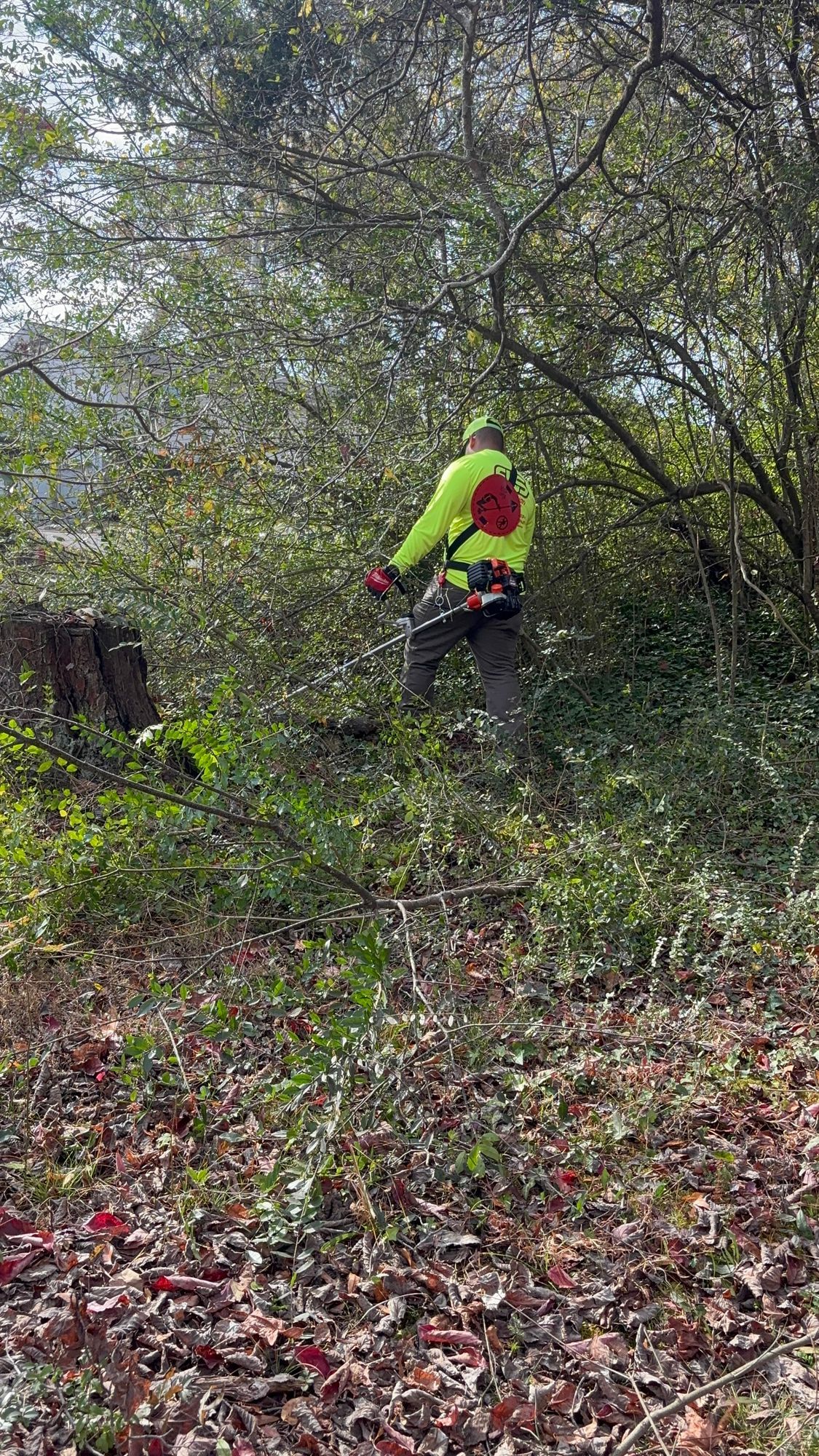 Person in a yellow safety vest trimming overgrown bushes outdoors with a tool.