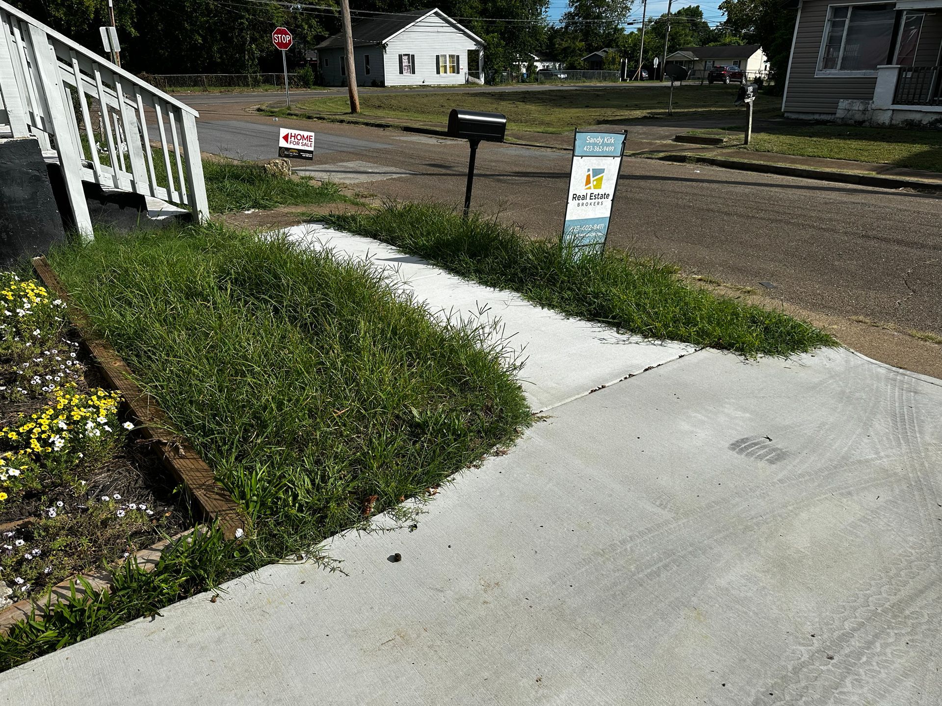 Concrete walkway with overgrown weeds leading to a mailbox and street.
