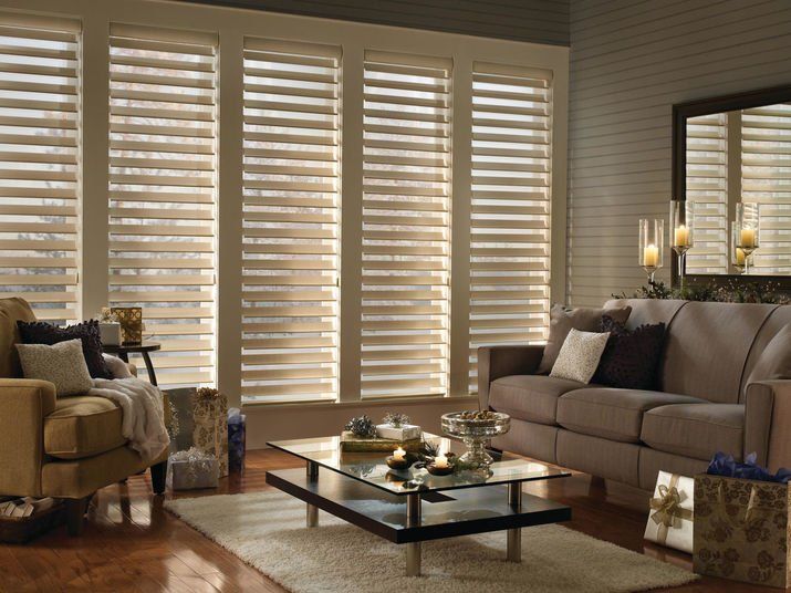Blinds and Shades for Large Windows Near Round Rock, Texas (TX) like Silhouette Shadings for Light
