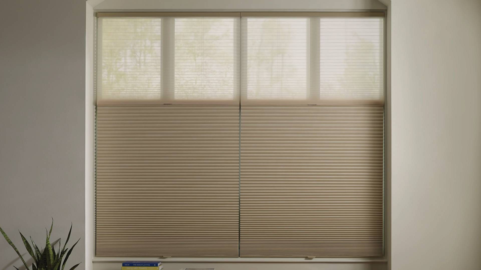 Elevate Your Space with TopDown, BottomUp Cellular Shades Hill