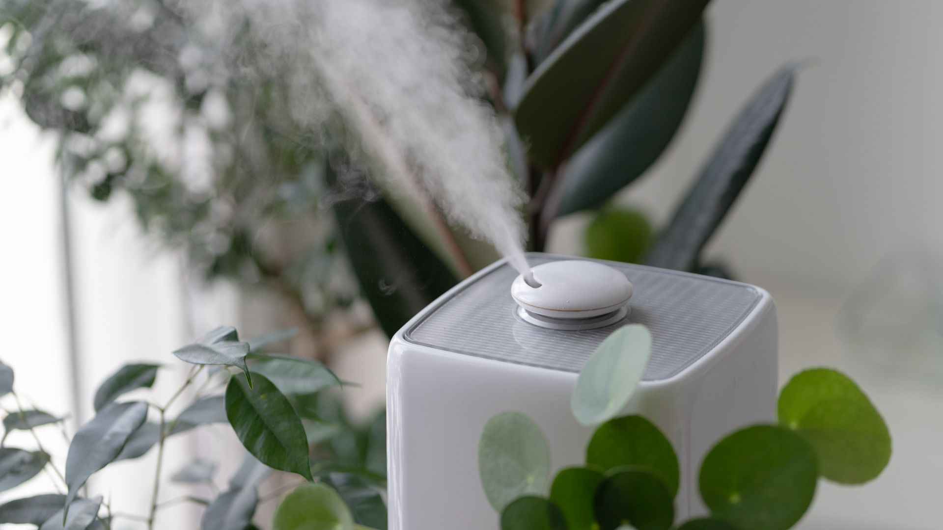 benefits of humidifier