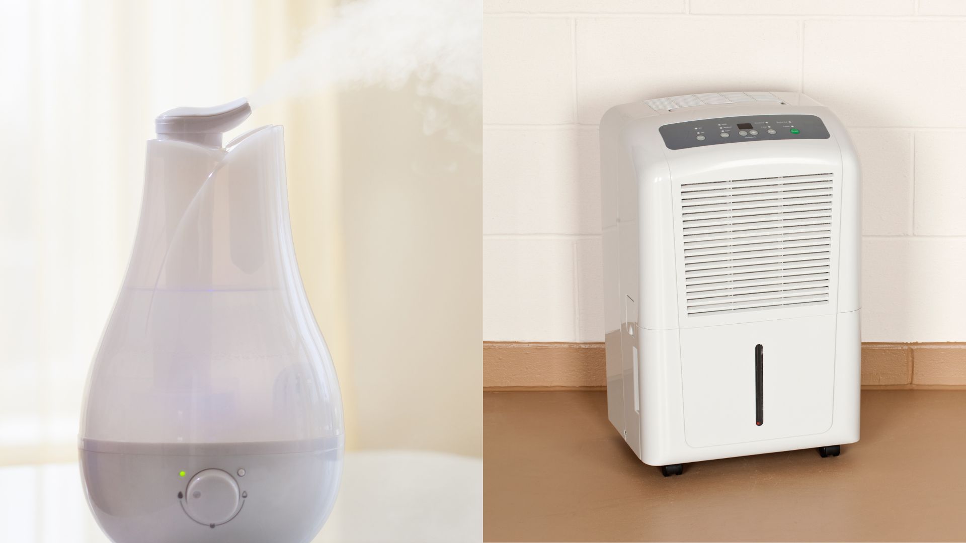 Air Purifier vs Dehumidifier Which One Should You Choose?