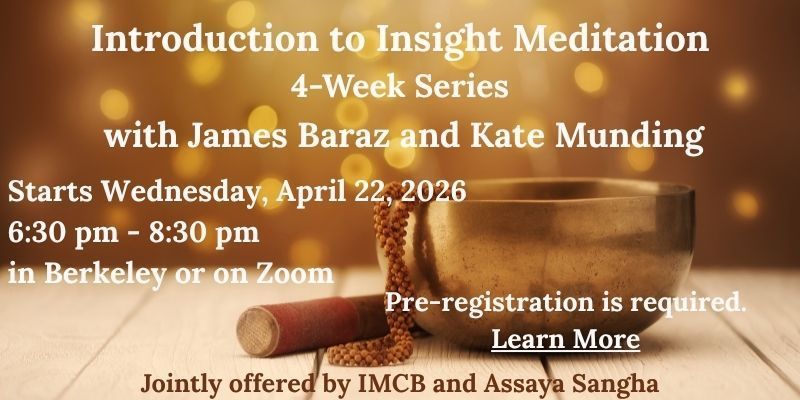 Intro to Insight April 2026