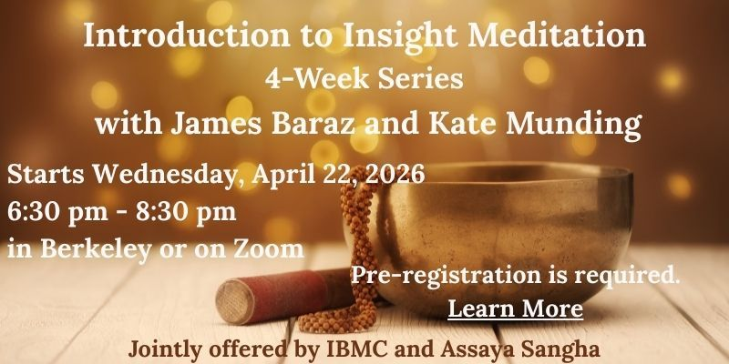 Intro to Insight April 2026