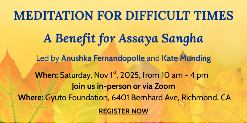 Day of meditation for difficult times
