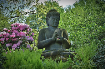 Stone Buddha statue in lush green garden, pink flowering bush nearby.