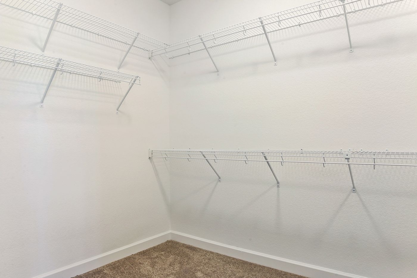An empty walk in closet with lots of shelves and a carpeted floor.