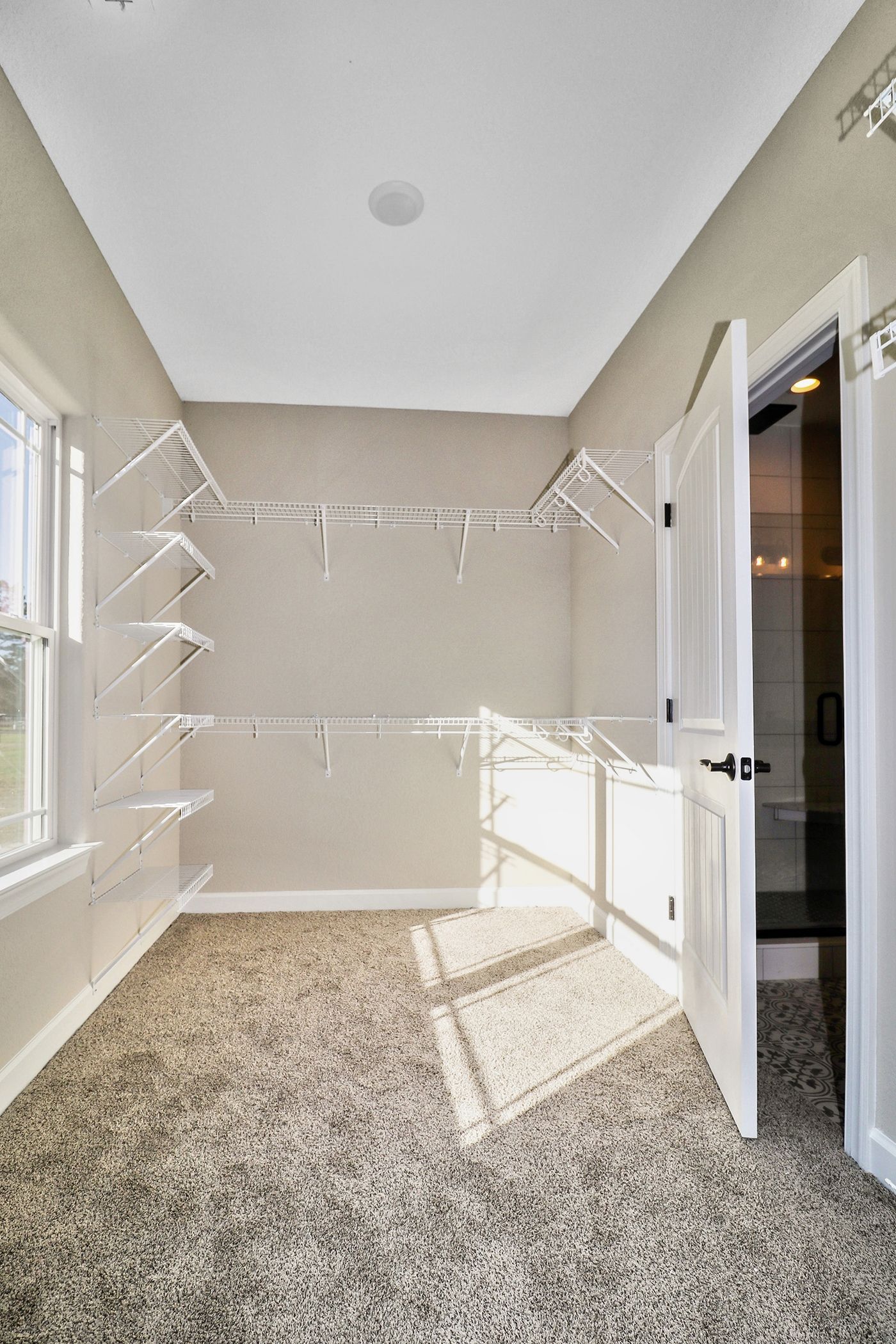 A walk in closet in a house with a carpeted floor and shelves.