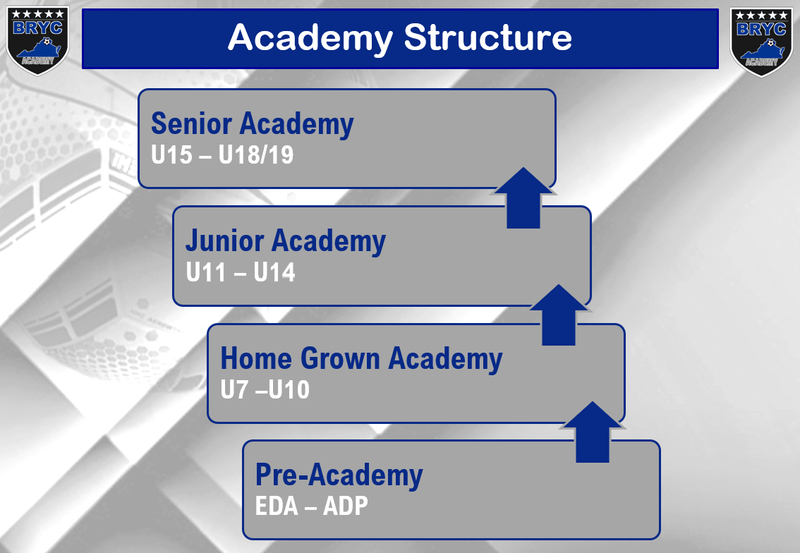 Academy structure chart for BRYC Academy