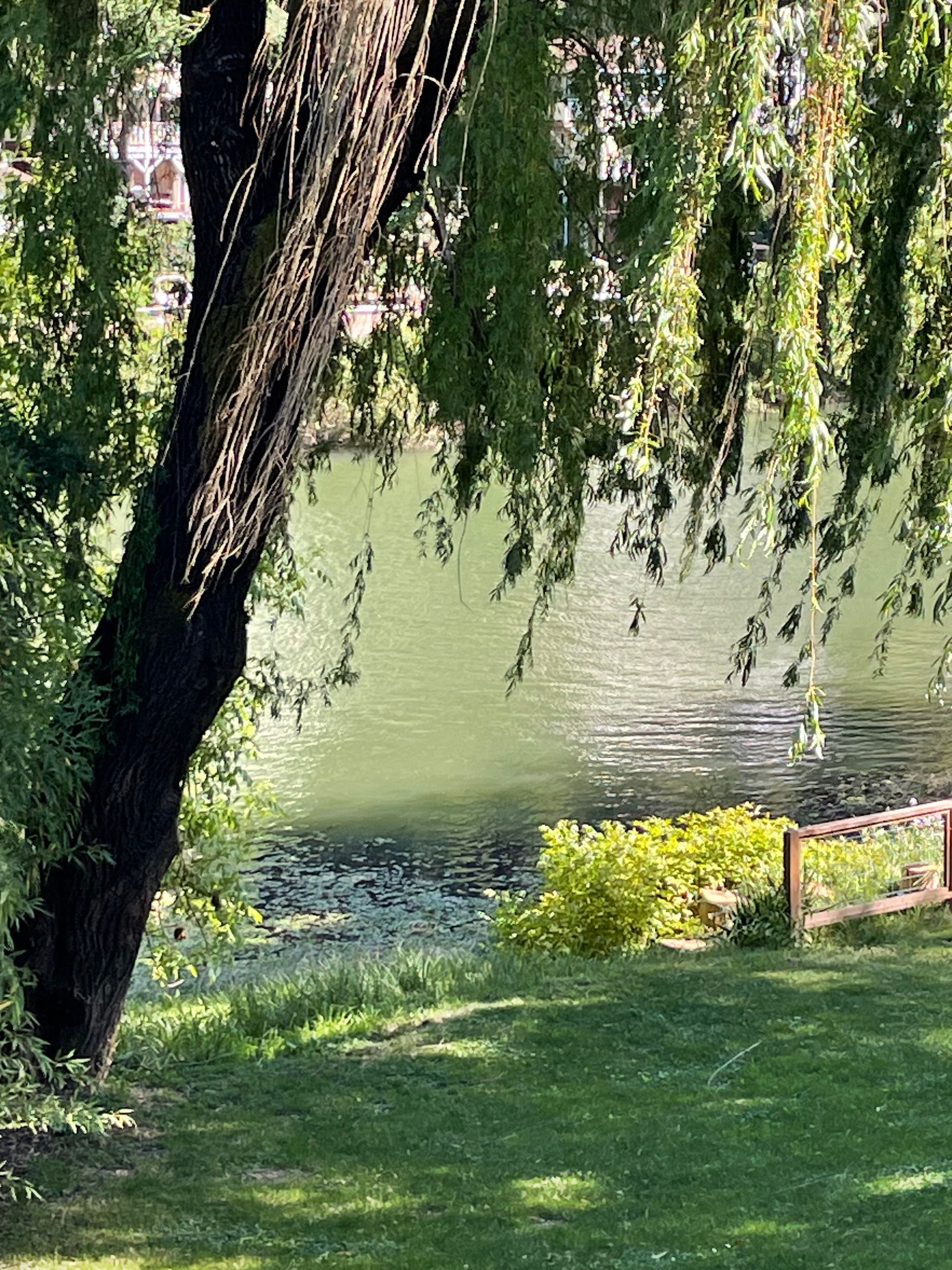 A hotel room with a king size bed , couch , table and chairs.