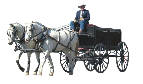 a man in a cowboy hat is riding a horse drawn carriage