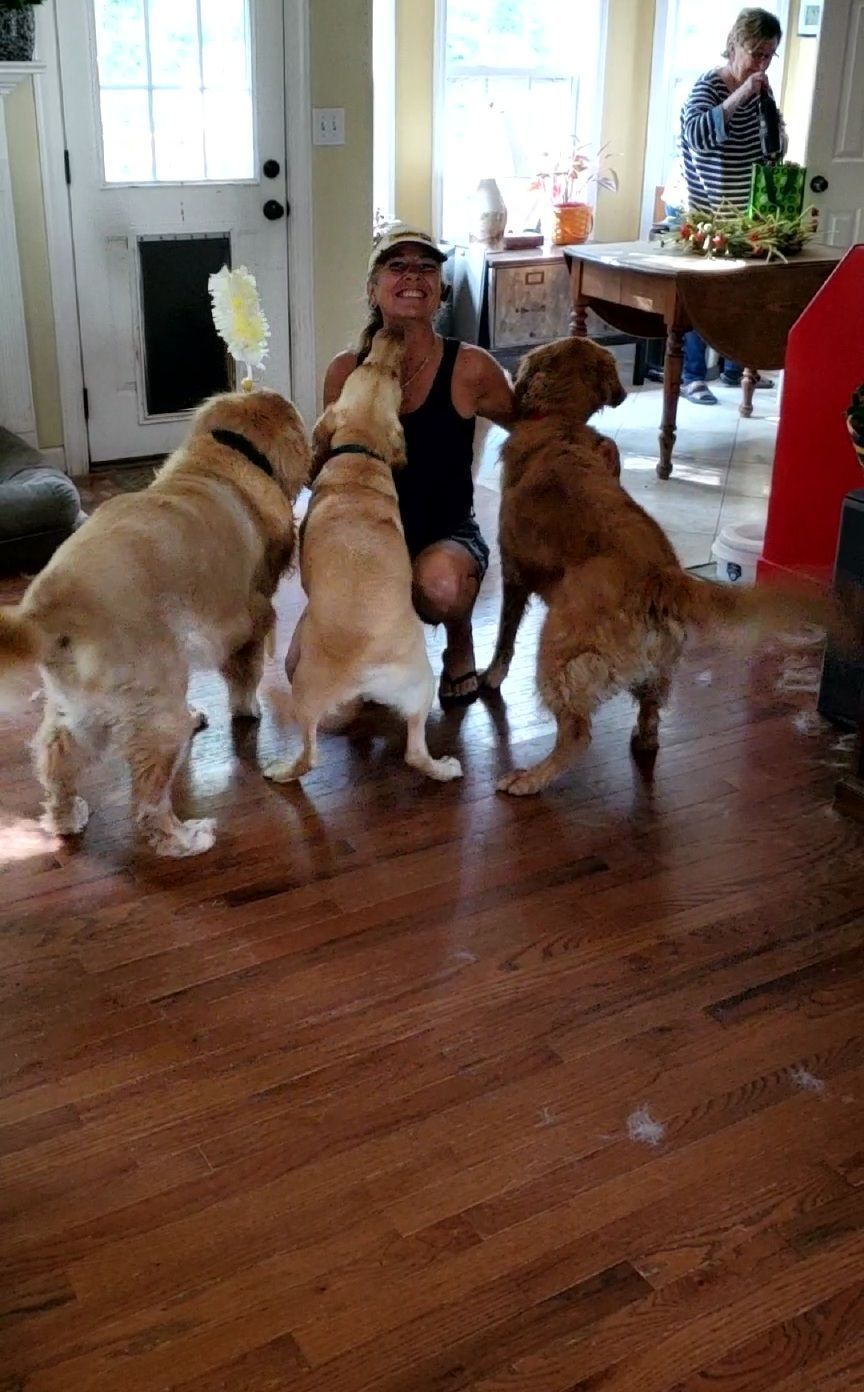 Christy's Cleaning, Housekeeping, Housekeeper Near Me, Nashville Housekeeper, Dickson Housekeeper, Franklin Housekeeper, Fairview Housekeeper, Deep Cleaning, Deep Cleaning Services Near Me, Recurring Cleaning, Recurring Cleaning Near Me, Recurring Cleaning Costs, Weekly Cleaning, Weekly Cleaning Services Near Me, Bi-weekly Cleaning, Bi-weekly Cleaning Services Near Me, Office Cleaning, Dickson Office Cleaners, Nashville Office Cleaners, Franklin Office Cleaners, Fairview Office Cleaners, Office Cleaners Near Me, Recurring Office Cleaning, Weekly Office Cleaning, Bi-weekly Office Cleaning, Dickson County TN, Davidson County TN, Dickson TN, White Bluff TN, Pegram TN, Nashville TN, Green Hills Nashville TN, Bellevue Nashville TN, Hillwood Nashville TN, Forest Hills TN, Belle Meade TN, Franklin TN, Fairview TN, Erin TN, Cumberland City TN, Cumberland Heights TN, Dover TN, Clarksville TN, Greenwood Clarksville TN, Kingston Springs TN, McEwen TN, Charlotte TN