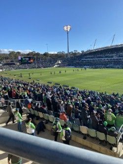 Spectators in green fill a stadium watching a game on a sunny day.