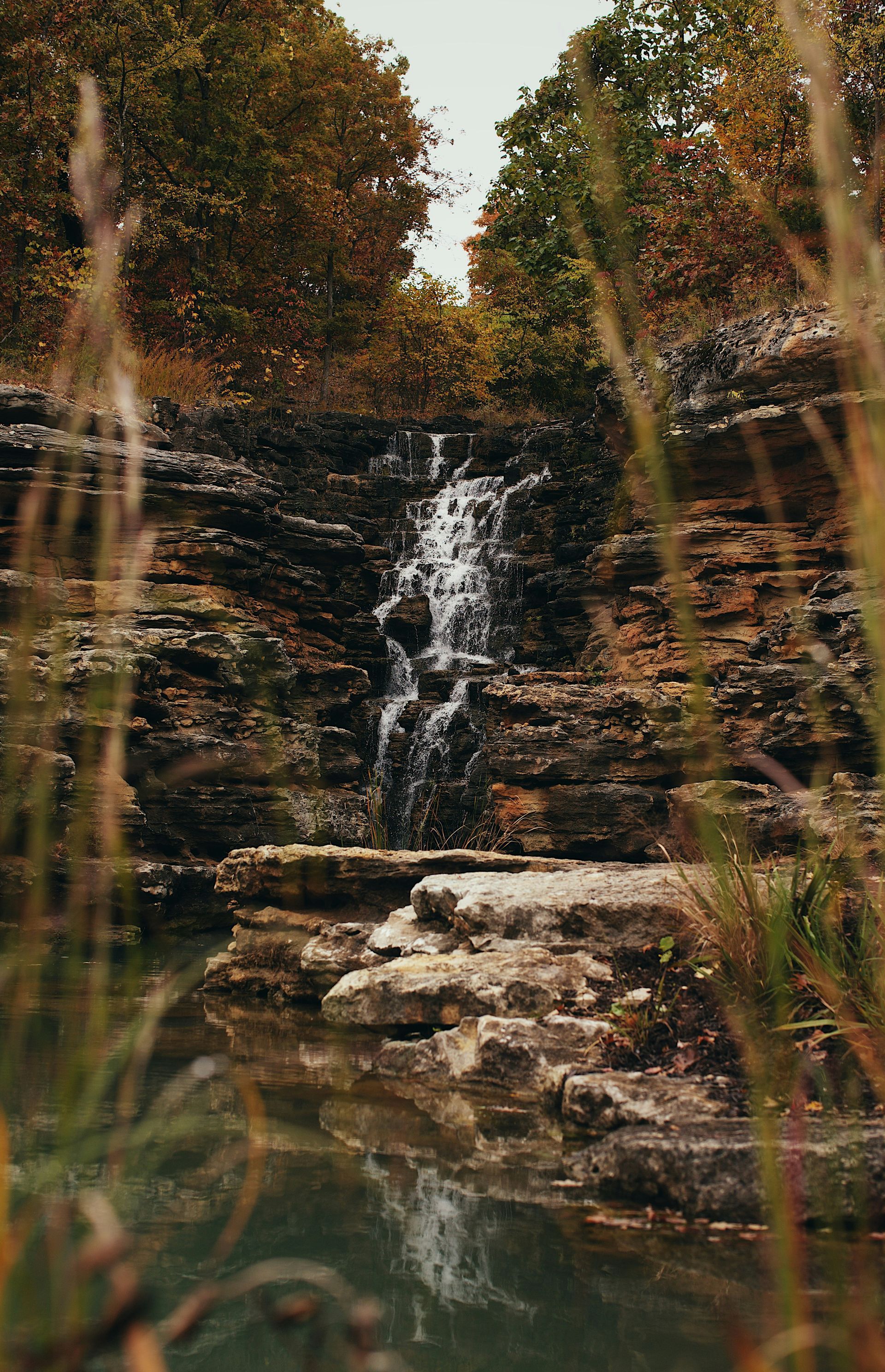 A waterfall is surrounded by tall grass and rocks in the middle of a forest.