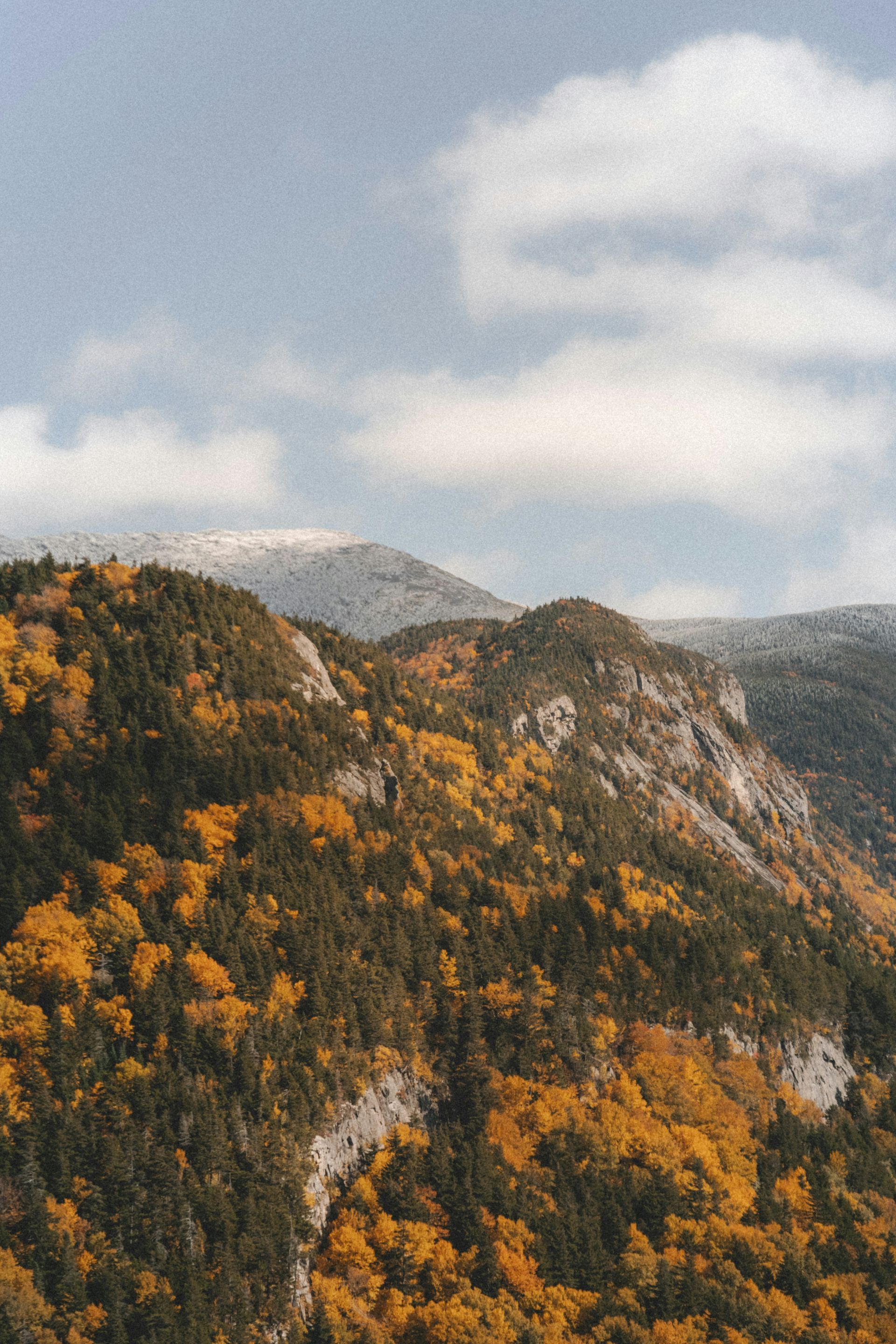 A mountain covered in trees with a blue sky in the background.