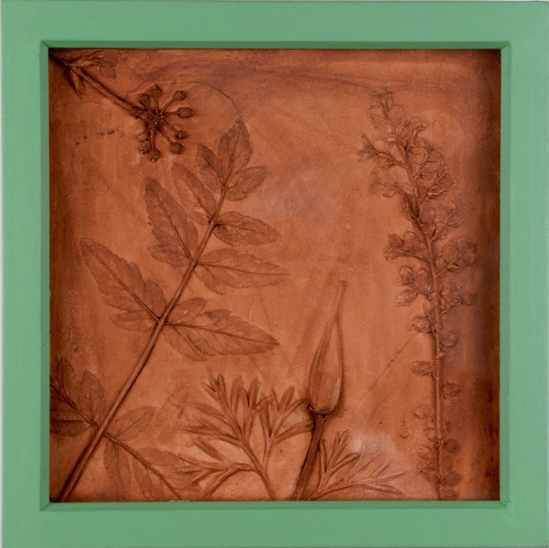 Kitty S Dale. Poppy. Plaster casting of garden plants