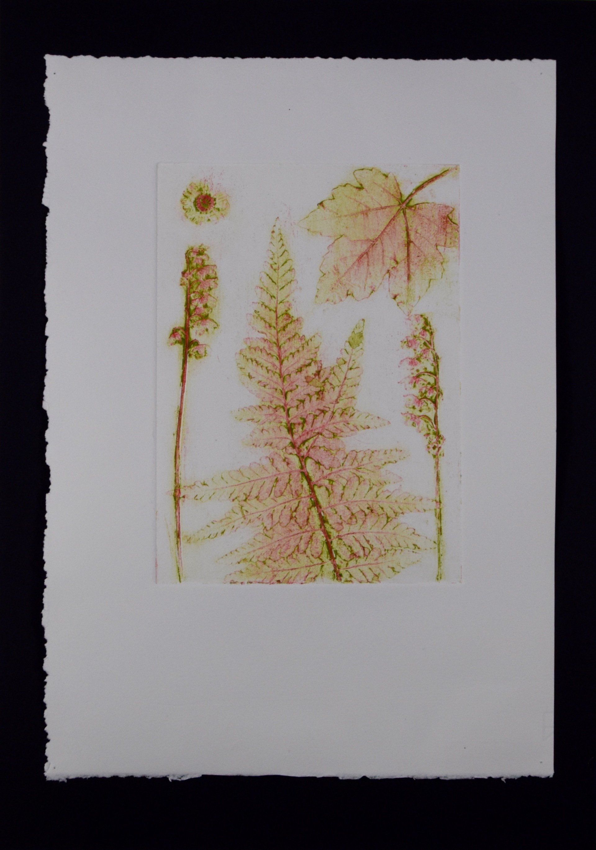 Kitty S Dale. A Garden Gathering. Original Collagraph print of garden plants.