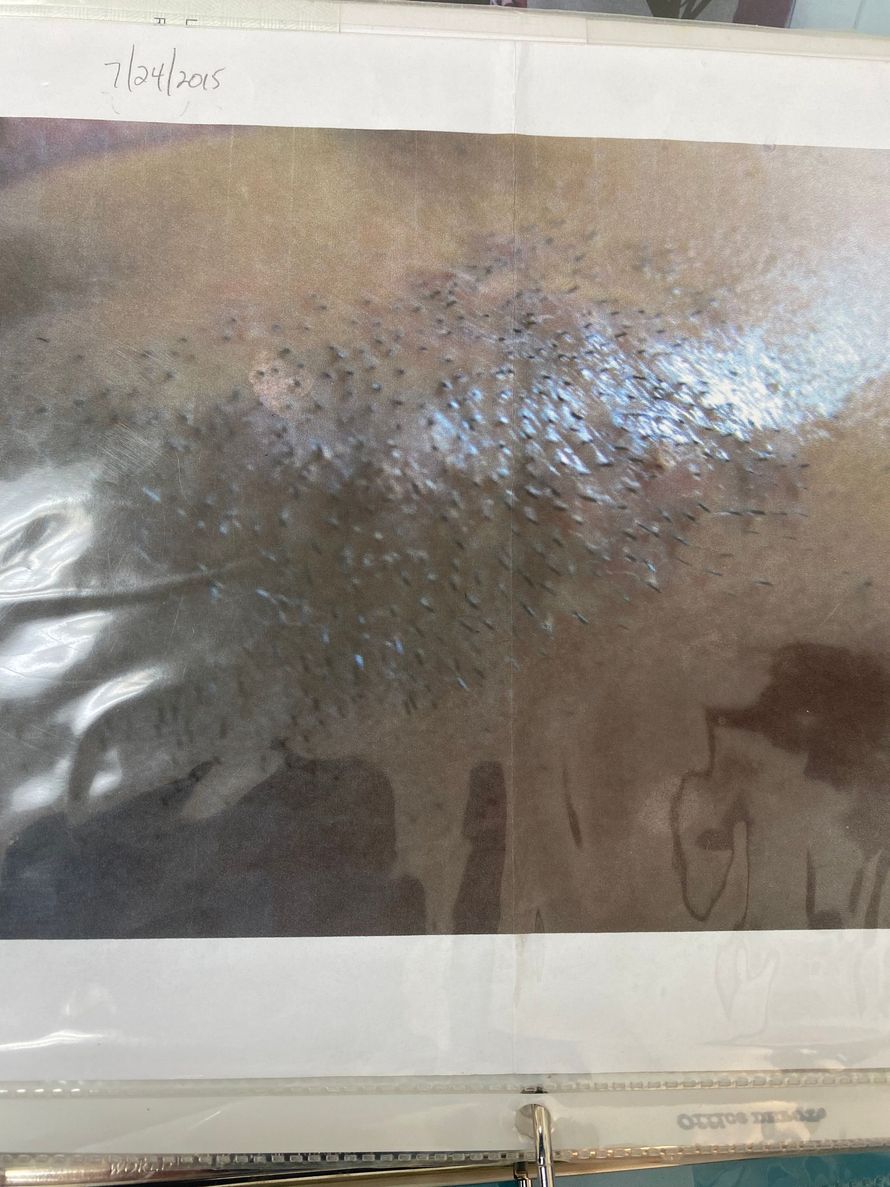 Close-up of a textured surface with small, dark spots and a shiny, reflective area.