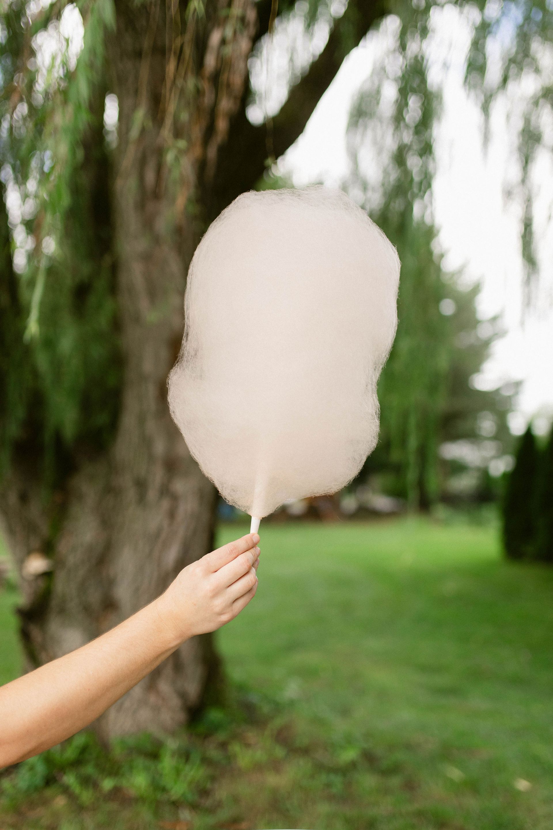 Pink and Blue Cotton Candy | Wholesale, Events and Fundraisers | Lititz, PA