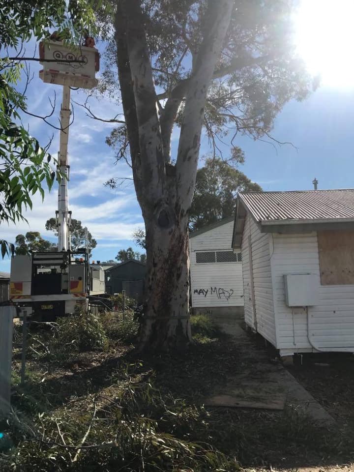 Arborist using Lift — A1 Tree Services NSW in Bourke, NSW