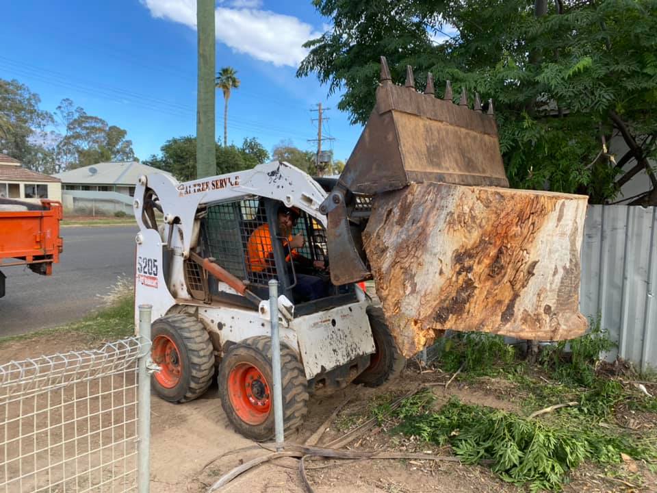 Large Chunk of Trunk — A1 Tree Services NSW in  Bourke, NSW