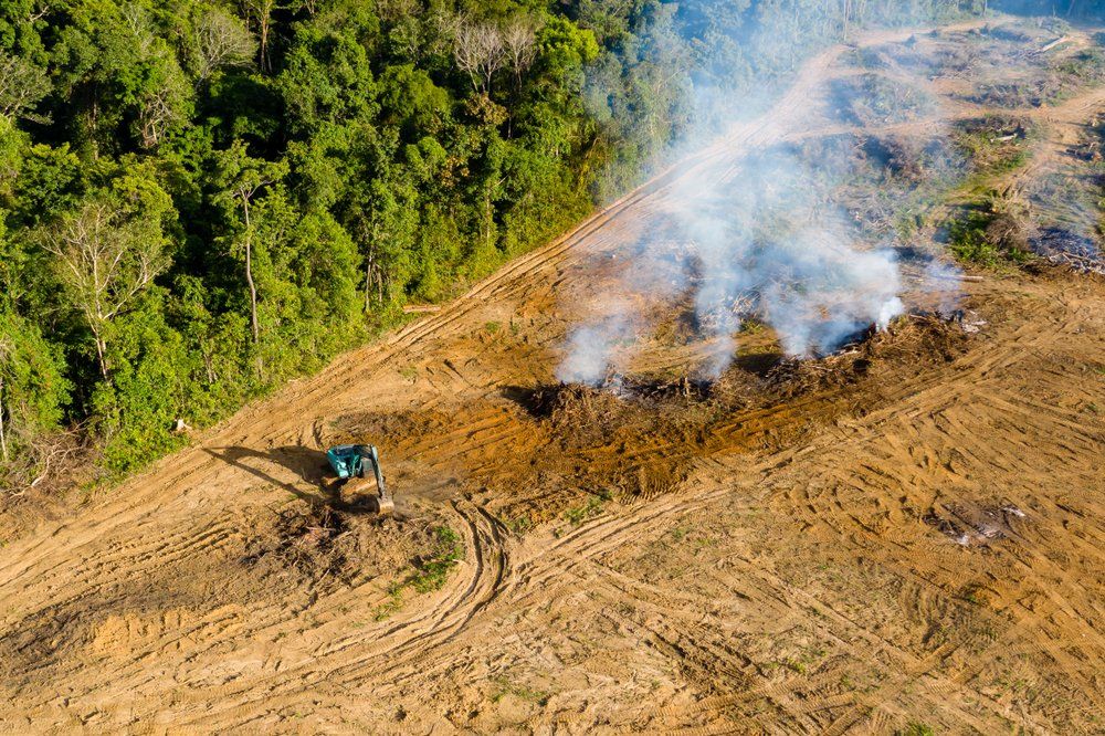 Using Heavy Machinery to Clear Land — A1 Tree Services NSW in Dubbo, NSW