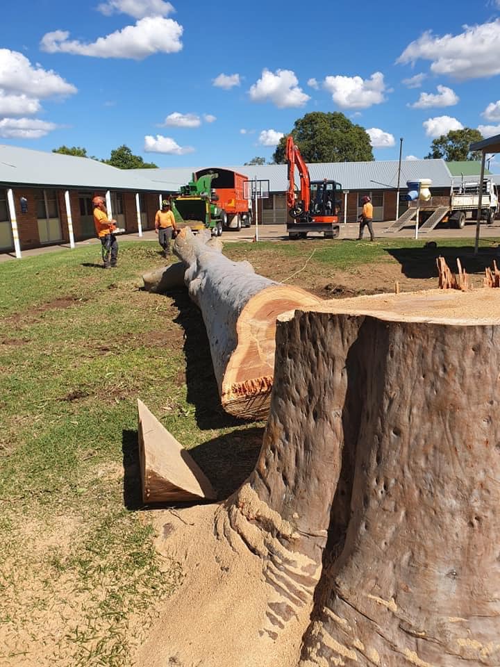 Commercial Tree Service — A1 Tree Services NSW in Dubbo, NSW