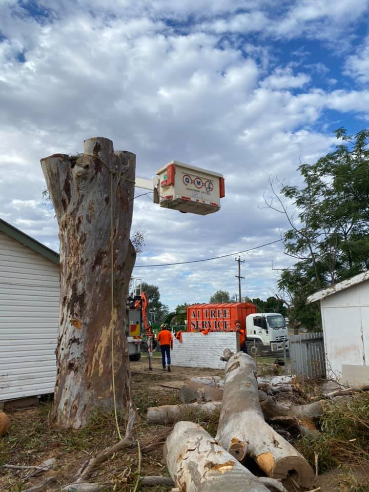 White Lift and Arborists — A1 Tree Services NSW in Dubbo, NSW