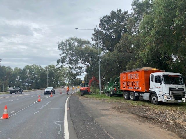 Along the Highway A1 Tree Service — A1 Tree Services NSW in Dubbo, NSW