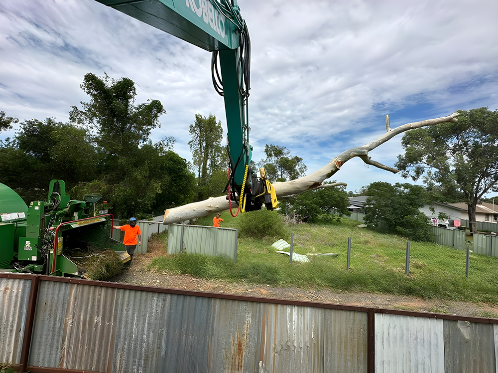 Worker Removing Large Tree Branch