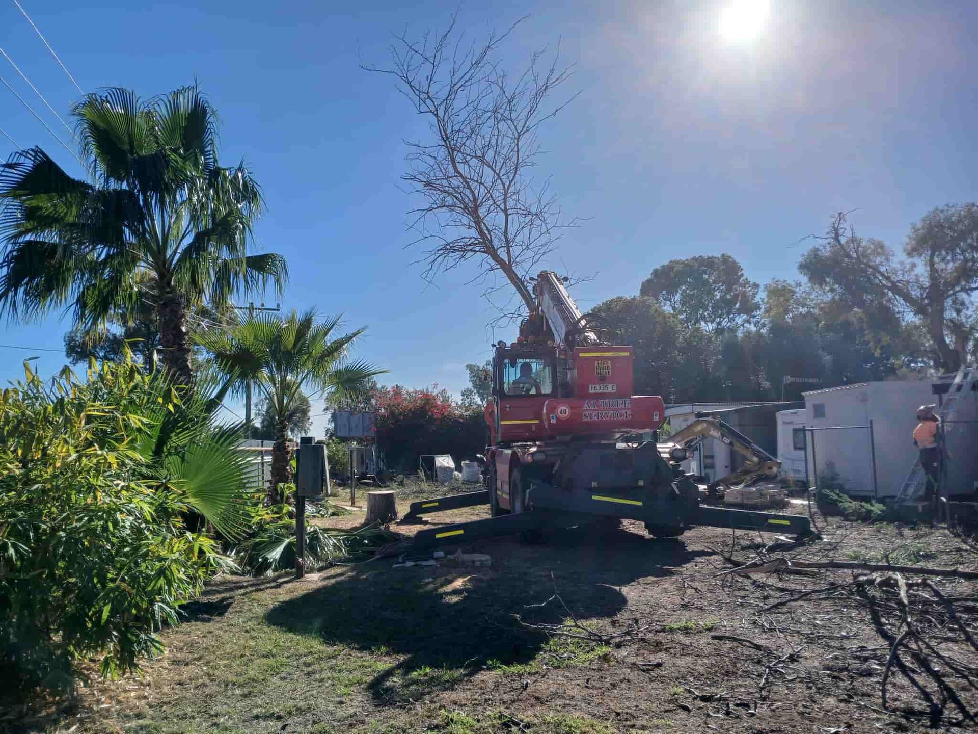 A Red Crane Lifts a Bare Tree — A1 Tree Services NSW in Dubbo, NSW