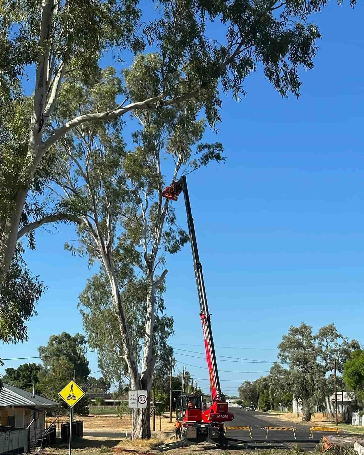 A Red Crane Truck Extends to Trim Tall Trees — A1 Tree Services NSW in Dubbo, NSW