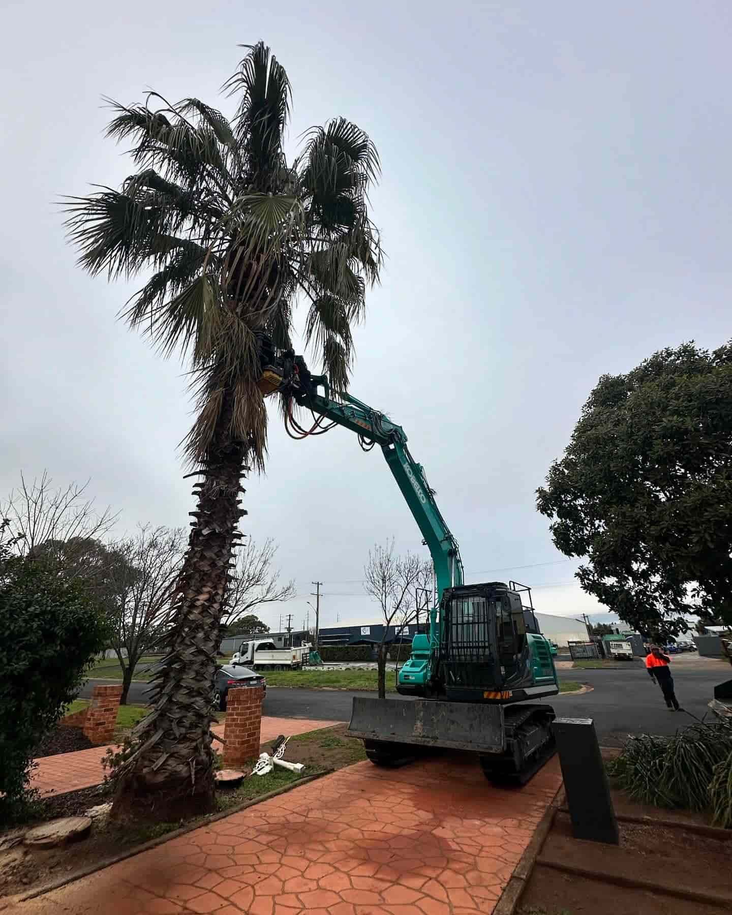 A Truck With an Extended Arm Trims a Tall Palm Tree — A1 Tree Services NSW in Dubbo, NSW