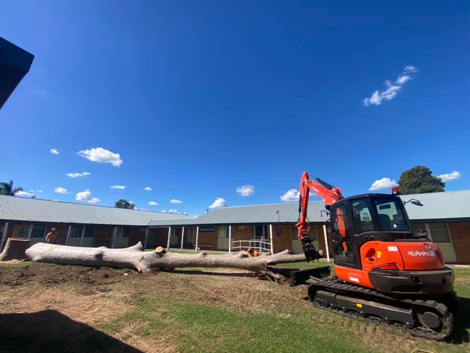 Heavy Machinery Dragging Trunk — A1 Tree Services NSW in Dubbo, NSW