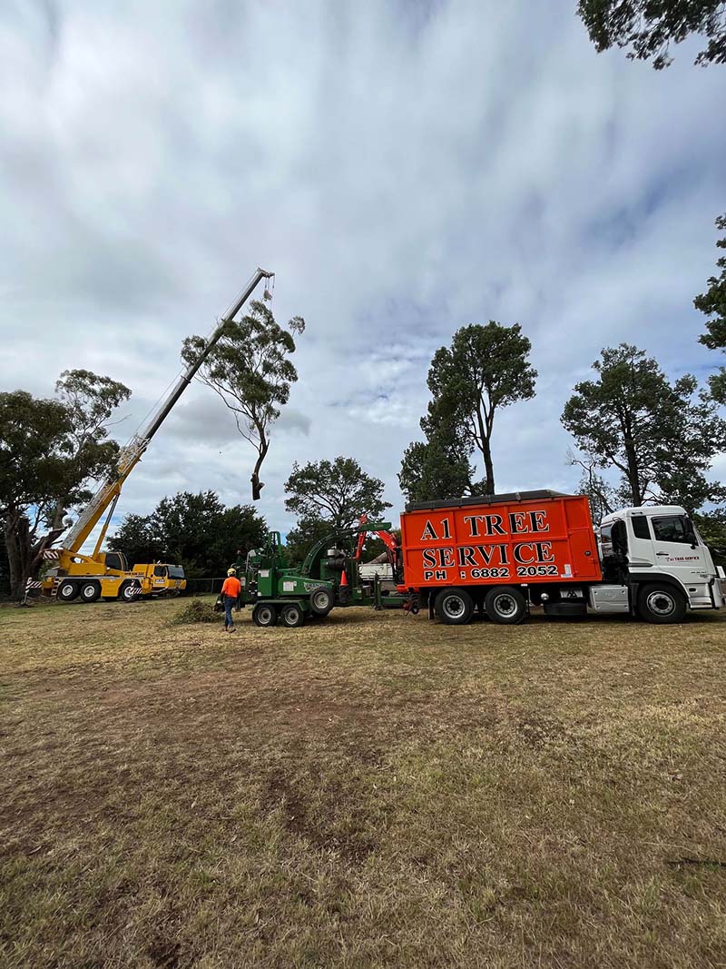 Yellow Crane Lifting Cut Tree — A1 Tree Services NSW in Dubbo, NSW