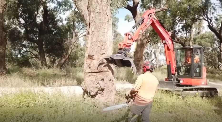 Using excavator to remove tree — A1 Tree Services NSW in Coonamble, NSW