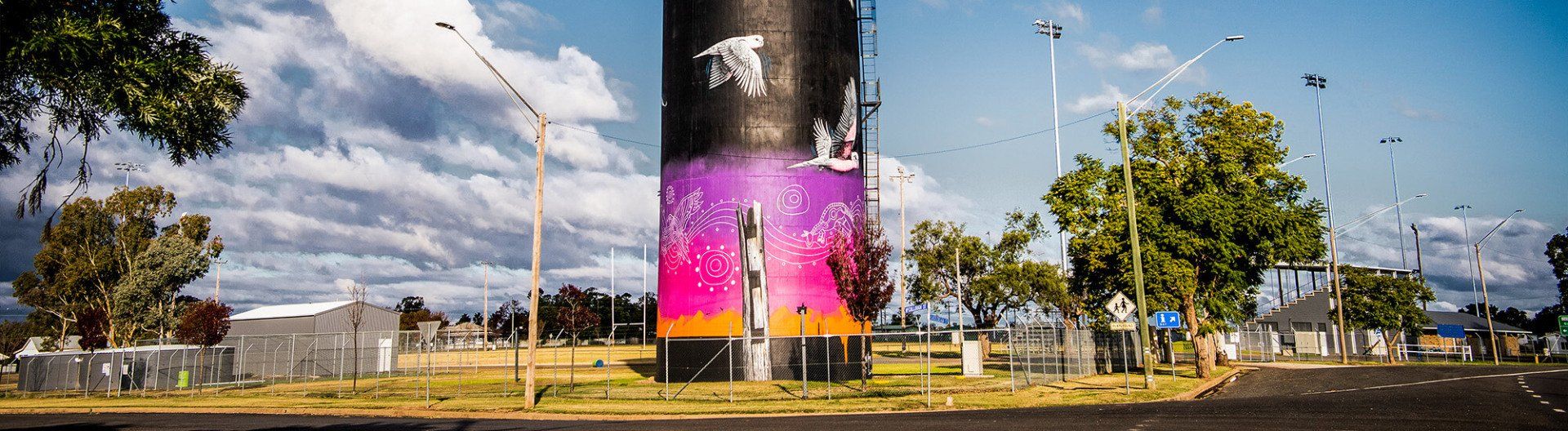Coonamble With Painted Tower — A1 Tree Services NSW in Coonamble, NSW