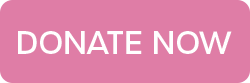 A pink button with the words `` donate now '' on it.