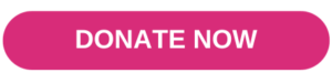 A pink donate now button on a white background.