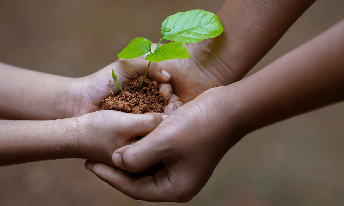 Two people are holding a small plant in their hands.