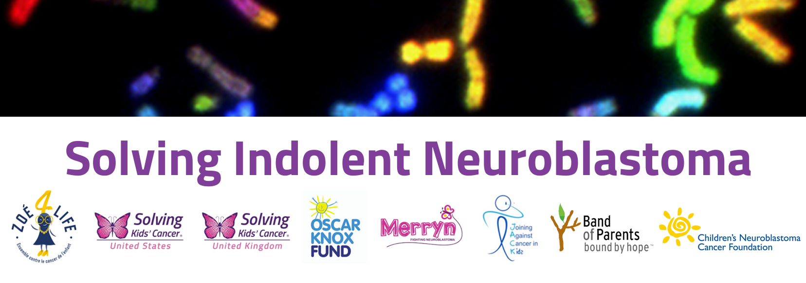 A sign that says solving indolent neuroblastoma on it