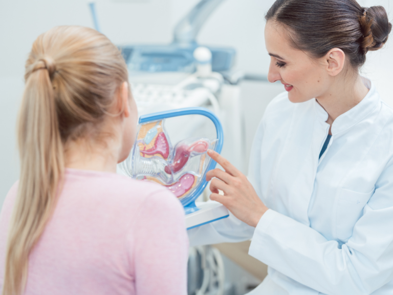 A female doctor is showing a model of the female reproductive system to a patient.