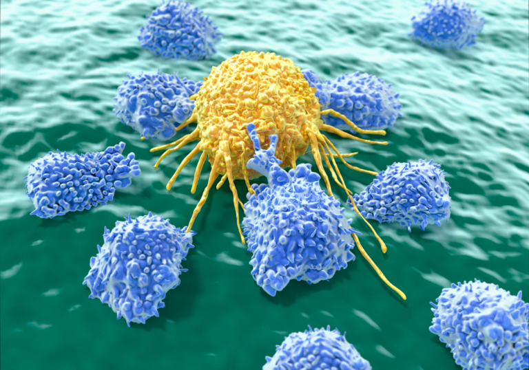 A yellow cell is surrounded by blue cells on a green surface.
