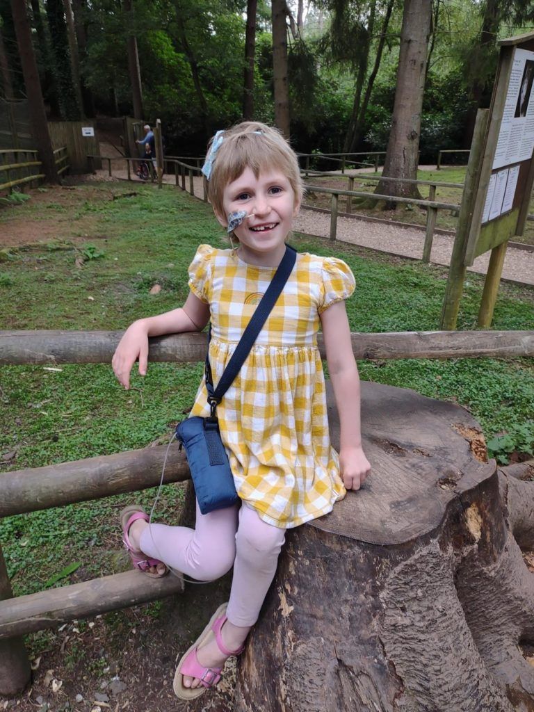 A little girl in a yellow dress is sitting on a tree stump.