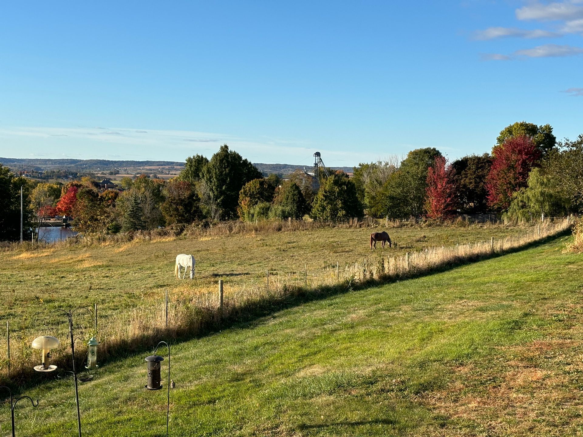 A horse is grazing in a grassy field next to a fence.