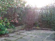 Overgrown gardens and jungles