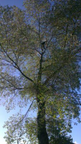 Our projects and services