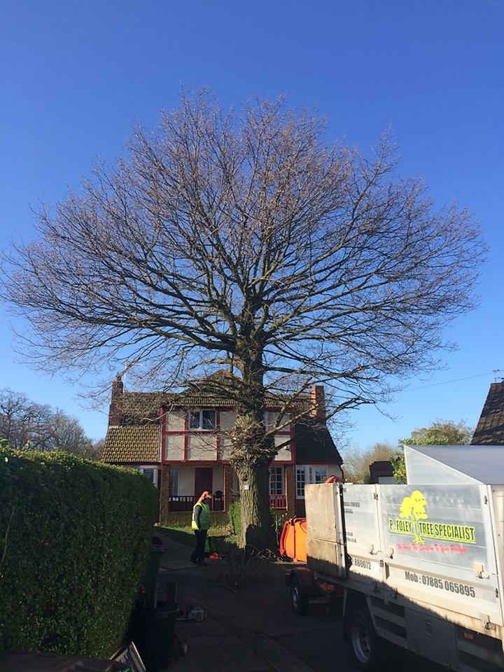 Our projects and services