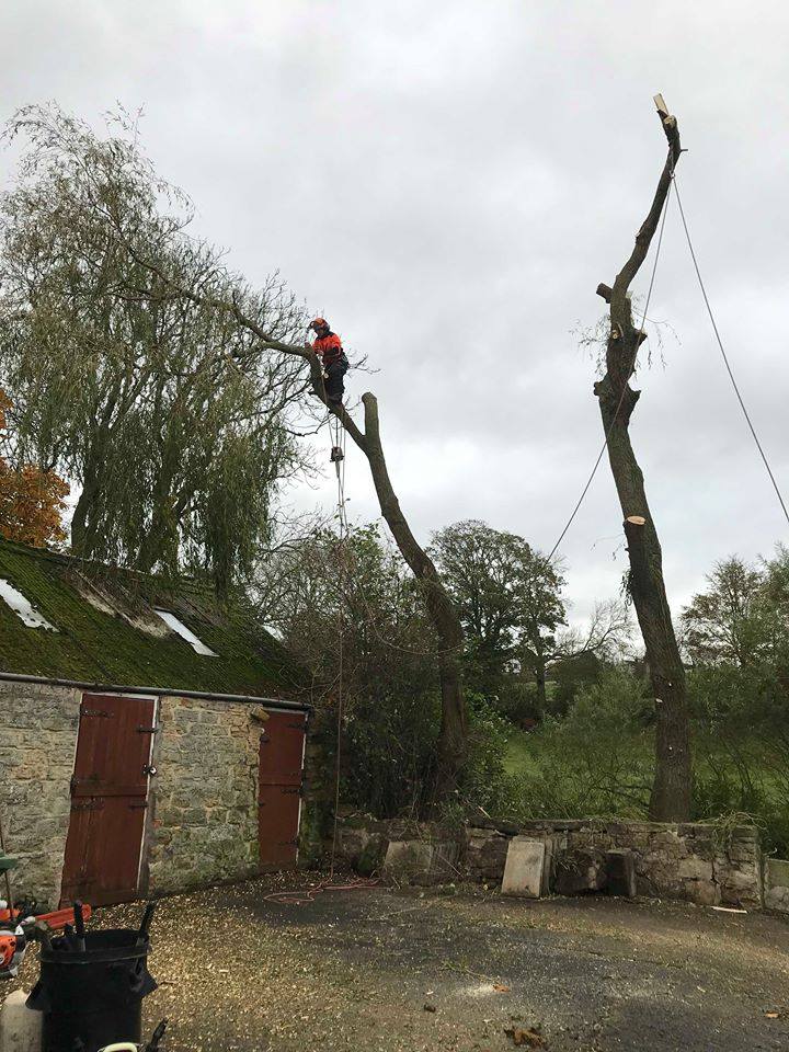 Our projects and services