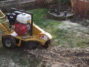 Stump removal and stump grinding